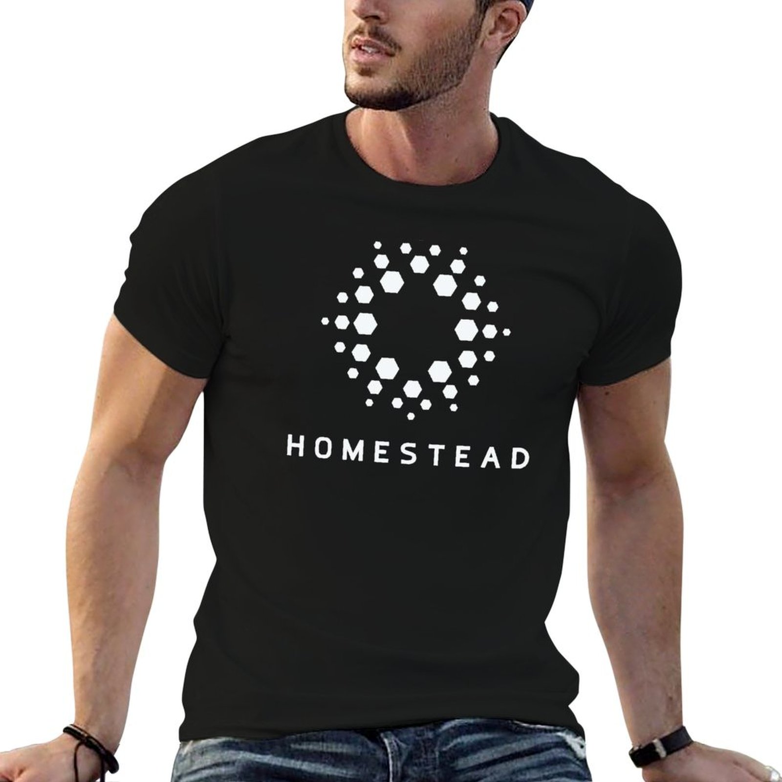 Homestead Lighting & Decor Oconomowoc - ホームステッド - パッセンジャーズ - ライト Tシャツ
