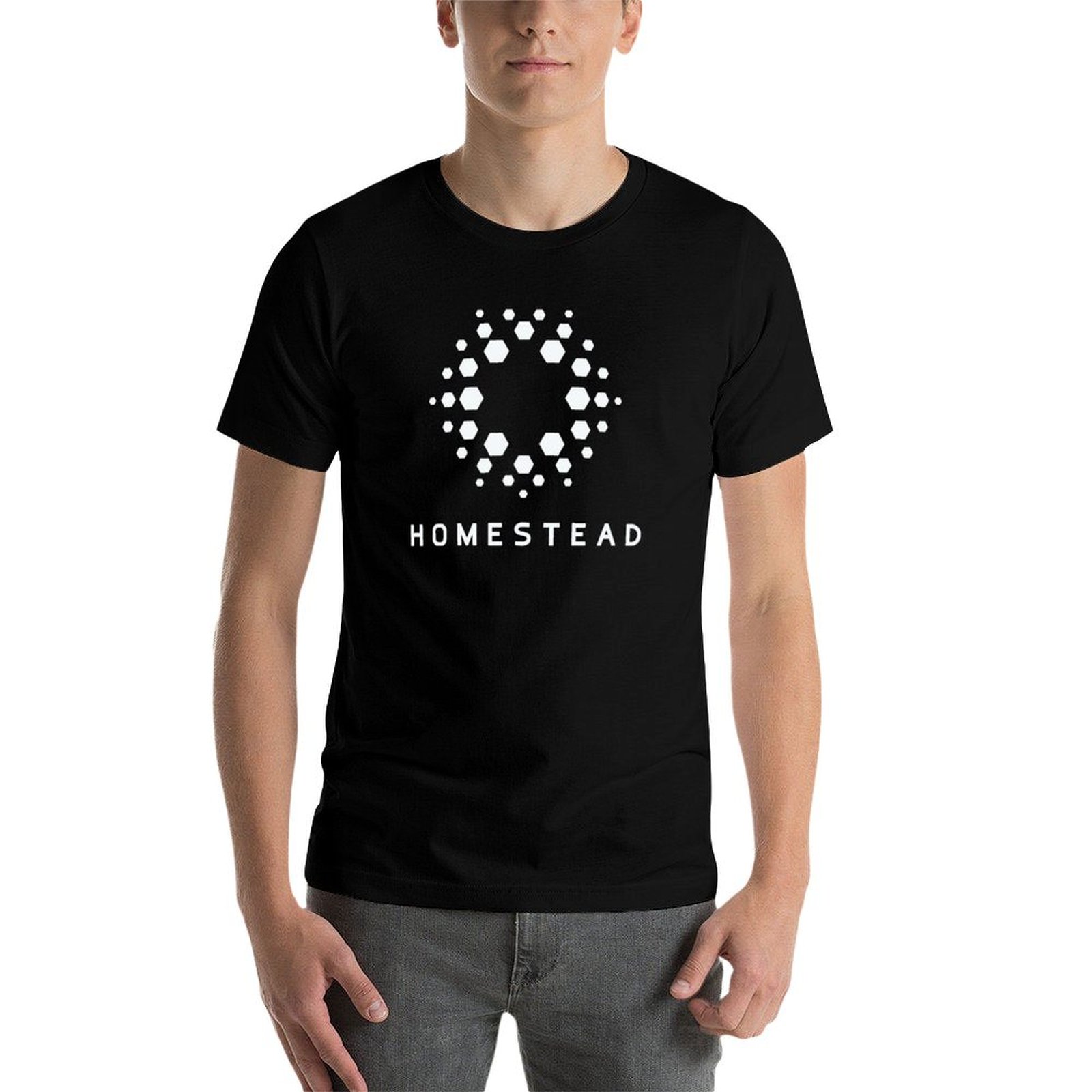 ホームステッド - パッセンジャーズ - ライトTシャツ 耐 - Homestead Lighting & Decor Oconomowoc のレビューと価格