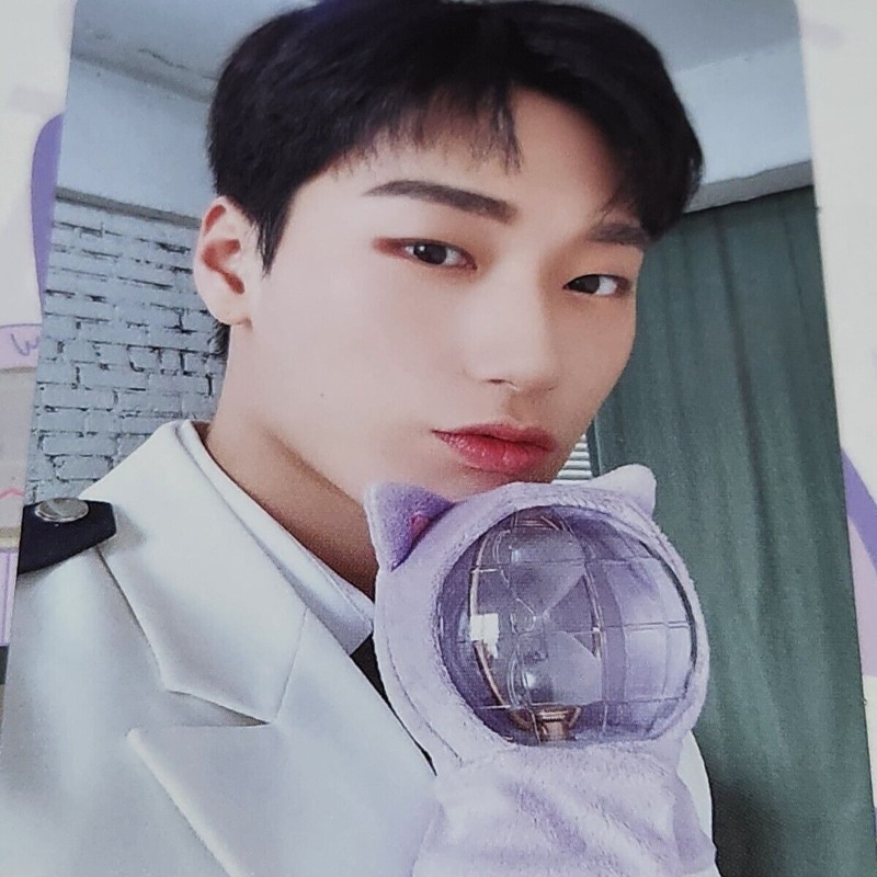Ateez ポータブルフラッシュランプカバーライトスティック - Decor Lighting Fans のレビューと価格